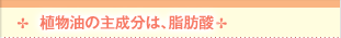 �A�����̎听���́A���b�_