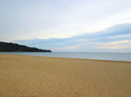 日本海に面して東西約2kmに広がる琴ヶ浜。歩くとキュッキュッと琴の音のように鳴る、「鳴り砂」の浜として知られています。