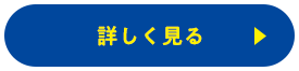 詳しく見る