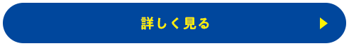 詳しく見る