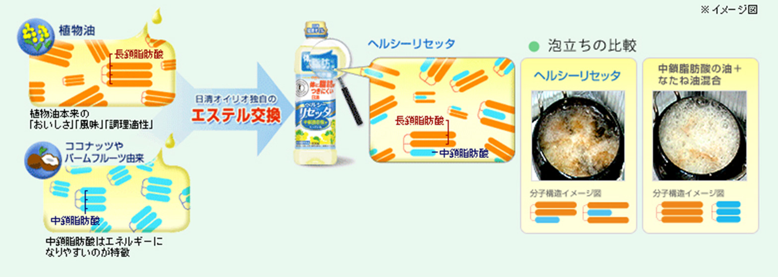 調理適性と栄養効果を併せ持つ食用油の開発 ヘルシーリセッタ 独自研究 研究 技術開発 植物のチカラ 日清オイリオ 調理適性と栄養効果を併せ持つ食用油の開発 ヘルシーリセッタ 独自研究 研究 技術開発 植物のチカラ 日清オイリオ