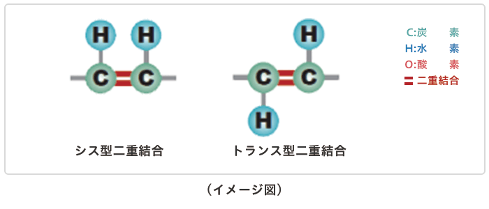 超長鎖脂肪酸