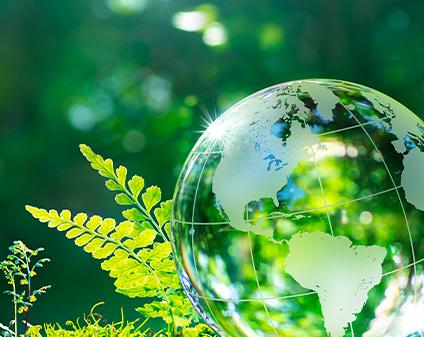 Global environment 