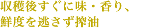 収穫後すぐに味・香り、鮮度を逃さず搾油