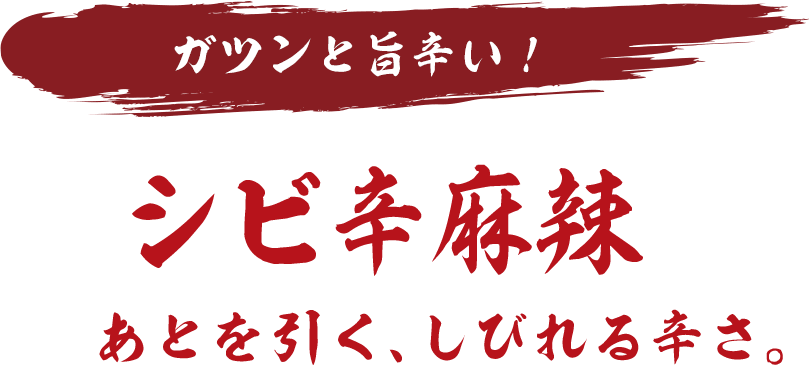 ガツンと旨辛い！シビ辛麻辣