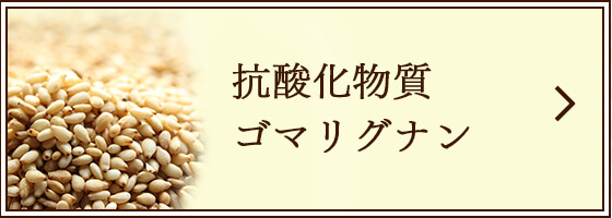 抗酸化物質ゴマリグナン