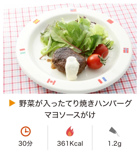野菜が入ったてり焼きハンバーグマヨソースがけ