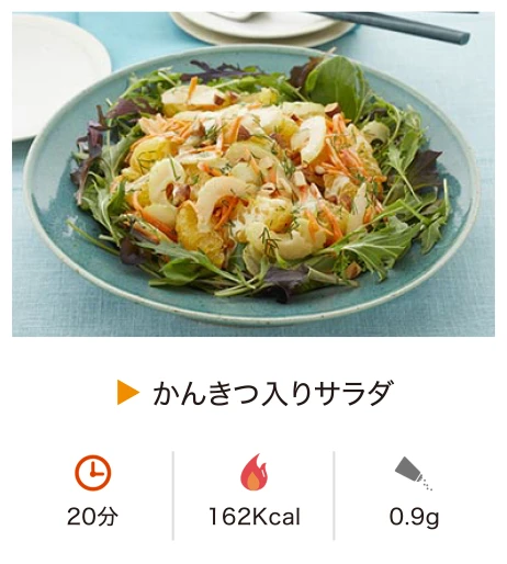 かんきつ入りサラダ