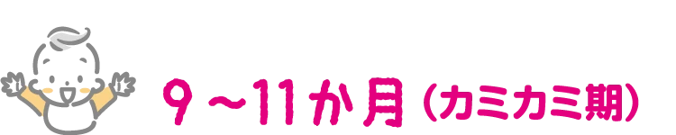9〜11か月（カミカミ期）