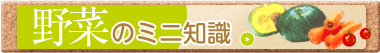 野菜のミニ知識