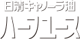 日清キャノーラ油 ハーフユース