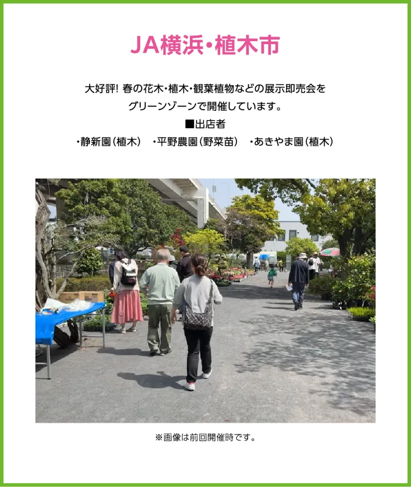 JA横浜・植木市