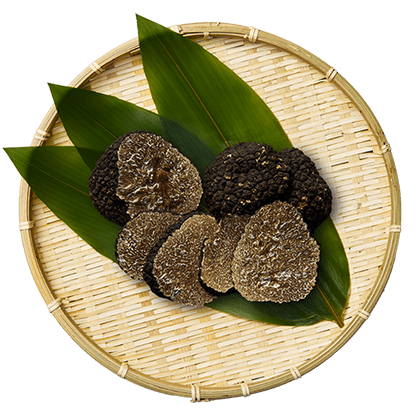 TRUFFLE