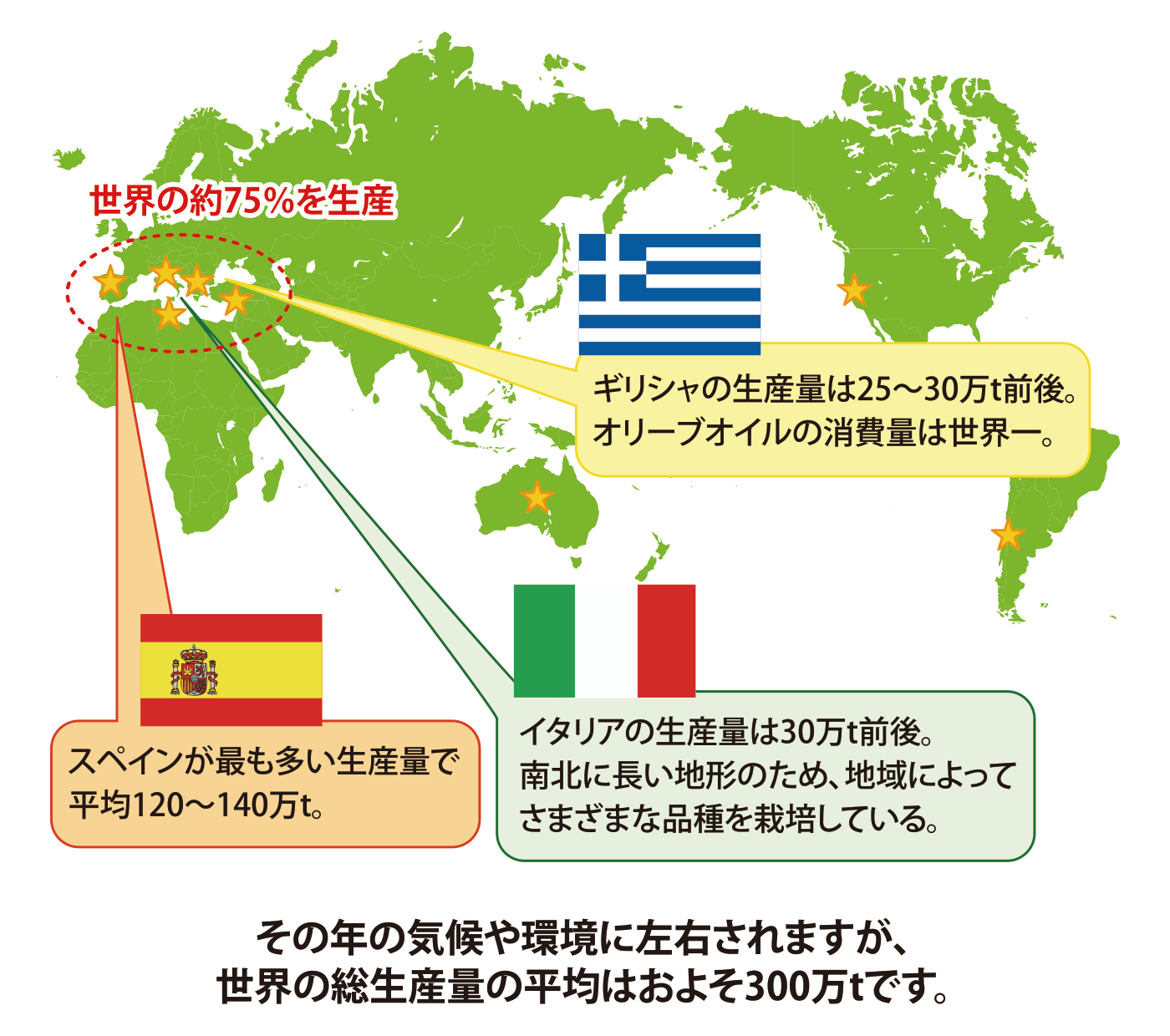 オリーブオイルの産地と特徴 オリーブオイルの豆知識