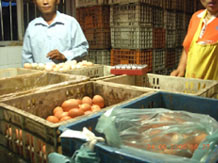 リンチャオ市場の卵屋