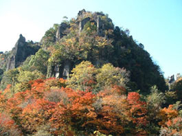 錦綾なす耶馬渓の“一目八景”の紅葉。一目で8つの奇岩を望めることから名付けられた耶馬溪一の名勝です。