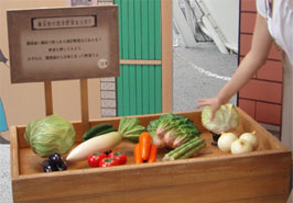 「横浜ものがたり」の会場で。何が横浜発祥？　西洋野菜を選び上から押すと正解の野菜はチャイムが鳴ります。並んだ野菜の中で正解はキャベツ、トマト、アスパラガス、レタス、玉ねぎでした。