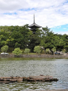 猿沢の池とその奥に立つ世界遺産の一つ、興福寺の五重塔。古都奈良は遷都1300年の長い歴史に見守られてきました。