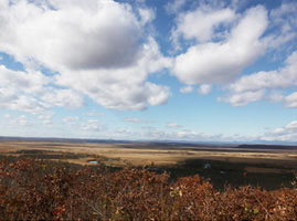 秋の釧路湿原。冬にかけてタンチョウが飛来する。