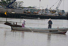 えつ漁　5～7月に行われるエツ漁。許可を受けた漁師のみが行える漁で、流し刺し網でエツを捕らえます。