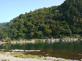 奥長良川県立自然公園の指定を受けている長良川河畔。この場所で古式ゆかしく幻想的な伝統漁法である鵜飼が、宮内庁式部職鵜匠によって行われます。 