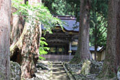 全国に１万５千もの寺院を擁する曹洞宗の大本山・永平寺。永平寺の精進料理では野菜、穀物も命あるものとして、大切に扱っています。