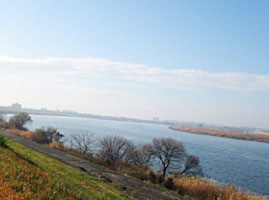 流域面積日本１位の利根川。印西市付近の川幅は約１kmほどになります。