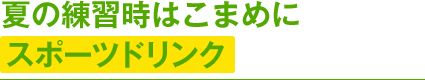 夏の練習時はこまめにスポーツドリンク