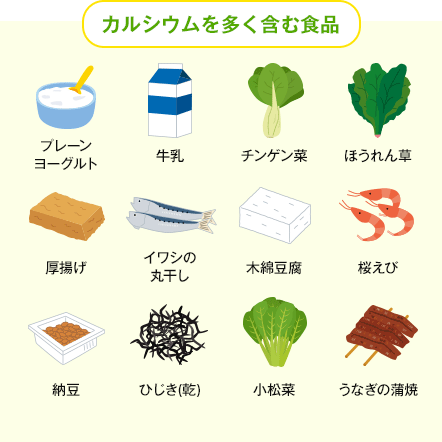 カルシウムを多く含む食品