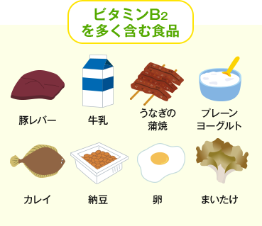 ビタミンB2を多く含む食品