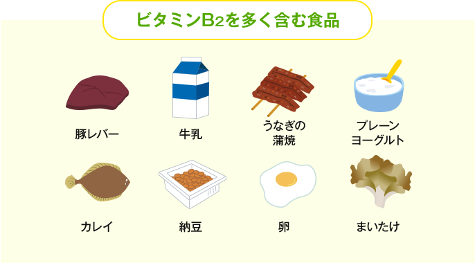 ビタミンB2を多く含む食品