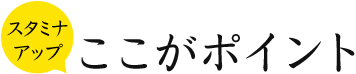 スタミナアップ ここがポイント