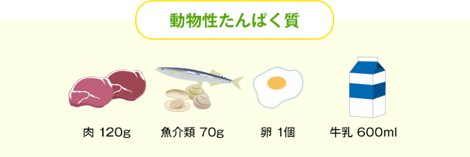 動物性たんぱく質