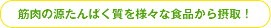 筋肉の源たんぱく質を様々な食品から摂取！