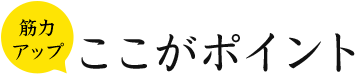 筋力アップ ここがポイント