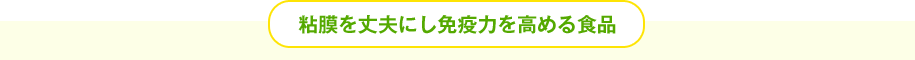 粘膜を丈夫にし免疫力を高める食品