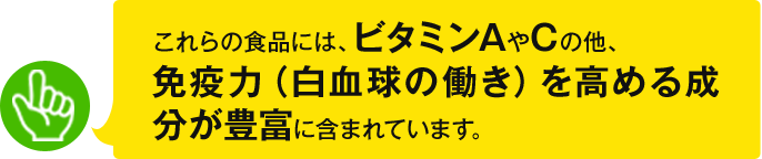 これらの食品には、ビタミンAやCの他、免疫力（白血球の働き）を高める成分が豊富に含まれています。