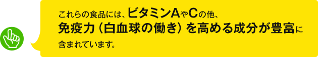 これらの食品には、ビタミンAやCの他、免疫力（白血球の働き）を高める成分が豊富に含まれています。