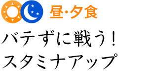 昼・夕食 バテずに戦う！スタミナアップ