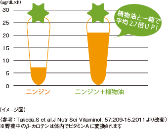 ニンジンを食べた場合の血中β-カロテン量