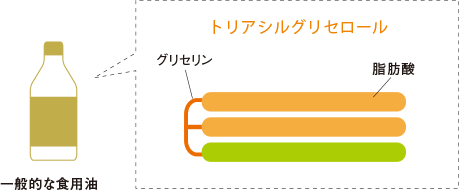 トリアシルグリセロールの分子構造