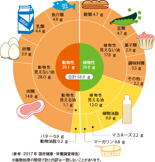 脂質の摂取状況と見えない油と見える油の割合のグラフ