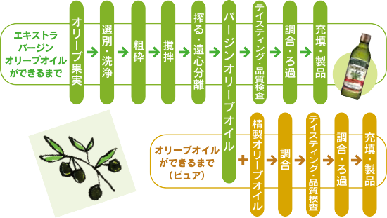 エキストラバージンオリーブオイルができるまでの工程　オリーブオイル（ピュア）ができるまでの工程