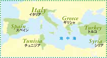 オリーブオイルの産地の地図