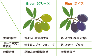 グリーンとライプの特徴、成熟度、収穫時期の表